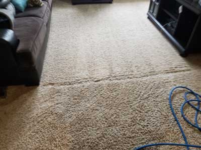 Carpet Cleaning